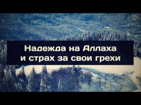 Надежда на Аллаха и страх за свои грехи || Абу Яхья Крымский