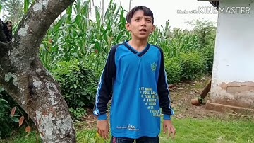 Observasi Lumut Kerak (Lichenes) # MTsN 7 Blitar # Keren Banget