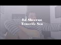 Ed Sheeran - Tenerife Sea (Acoustic Cover)