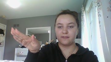 Module 3 Assignment - Technical Skills - Alaina Sturza