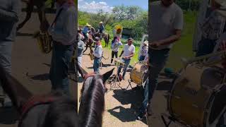 ASI son las cabalgatas en en Zacatecas tamborazo #viral #caballos #zacatecas #horse #caballos
