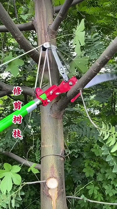 sawing-tool-for-cutting-high-tree-branches-youtube