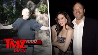 Harvey Weinstein Is Not Okay | TMZ TV