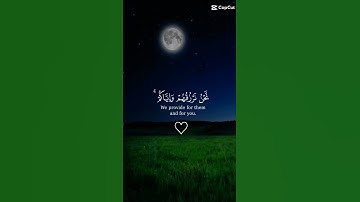 #قرآن كريم ........ استغفر الله #راحة_نفسية ❤️
