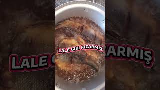 🐟 Balık Tendirde. Lale Gibi Kızarmış. Ne Hoş Yiyende 🐟