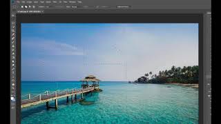 How to Use Rectangular Marquee Tool in Adobe Photoshop Selection Tool
