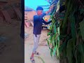 Desi boys #explore #rap #music #haridwarvibes #remix 💯💯❤❤🐯🐯🐯🐯 #hiphop