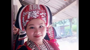 bài hát páo dung cần phải bảo vệ rừng và Động vật hoang dã . dùn phấu tv