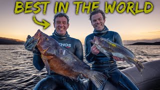 This could save your life! What I learned from Giacomo De Mola, spearfishing World Champion.