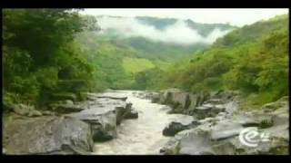Biodiversidad de las regiones naturales.mp4