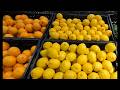 You Don’t Own Your Seeds?! The Truth About GMOs, Corporate Control & Our Food Supply