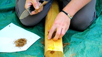 Strider SmF CC -  EDC Cutting Series