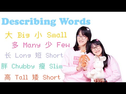 Learn 10 describing words|形容词中文课：大小多少长短高矮胖瘦｜Mandarin learning for Children|Chinese lesson for kids