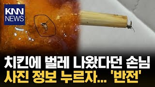 '치킨에 날벌레 나왔어요' 손님이 보낸 사진, 자세히 봤더니... / KNN