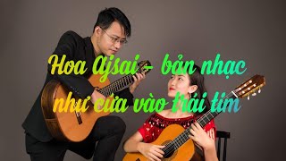 Ajisai là hoa của những ngày mưa. Cứ đến mùa mưa Nhật Bản, hoa ajis...