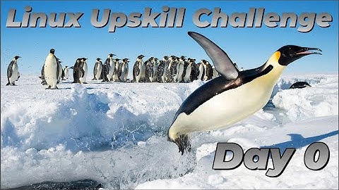 [Day 0] Preparing the environment (AWS) - Linux Upskill Challenge