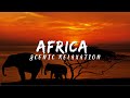 Exploring Africa&#39;s Beauty in Mesmerizing 4K