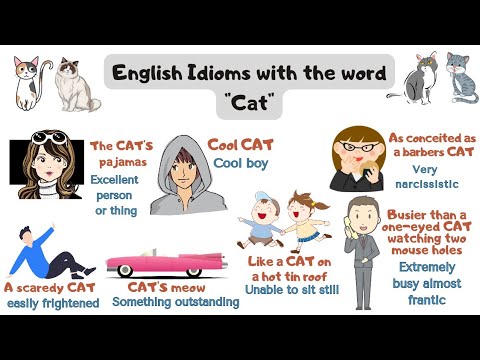 Cat Idioms with meaning and sentence