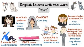 Cat Idioms & Cat Sayings! Learn - Catisfaction Cat Clinic