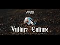 Twinsanity  vulture culture feat dj micro official