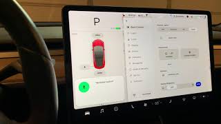 New Tesla Voice Commands - Keep Summer Safe