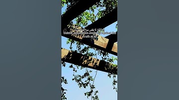 بعض الآيات من سورة يونس قراءة عبد الرحمن مسعد #quran #قرآن #قران_كريم
