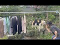 洗濯物の気持ちを知った柴犬