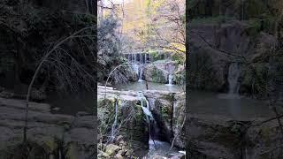 Salt de Can Batlle, una de las cascadas más espectaculares de Cataluña. #shorts #cataluña #catalunya