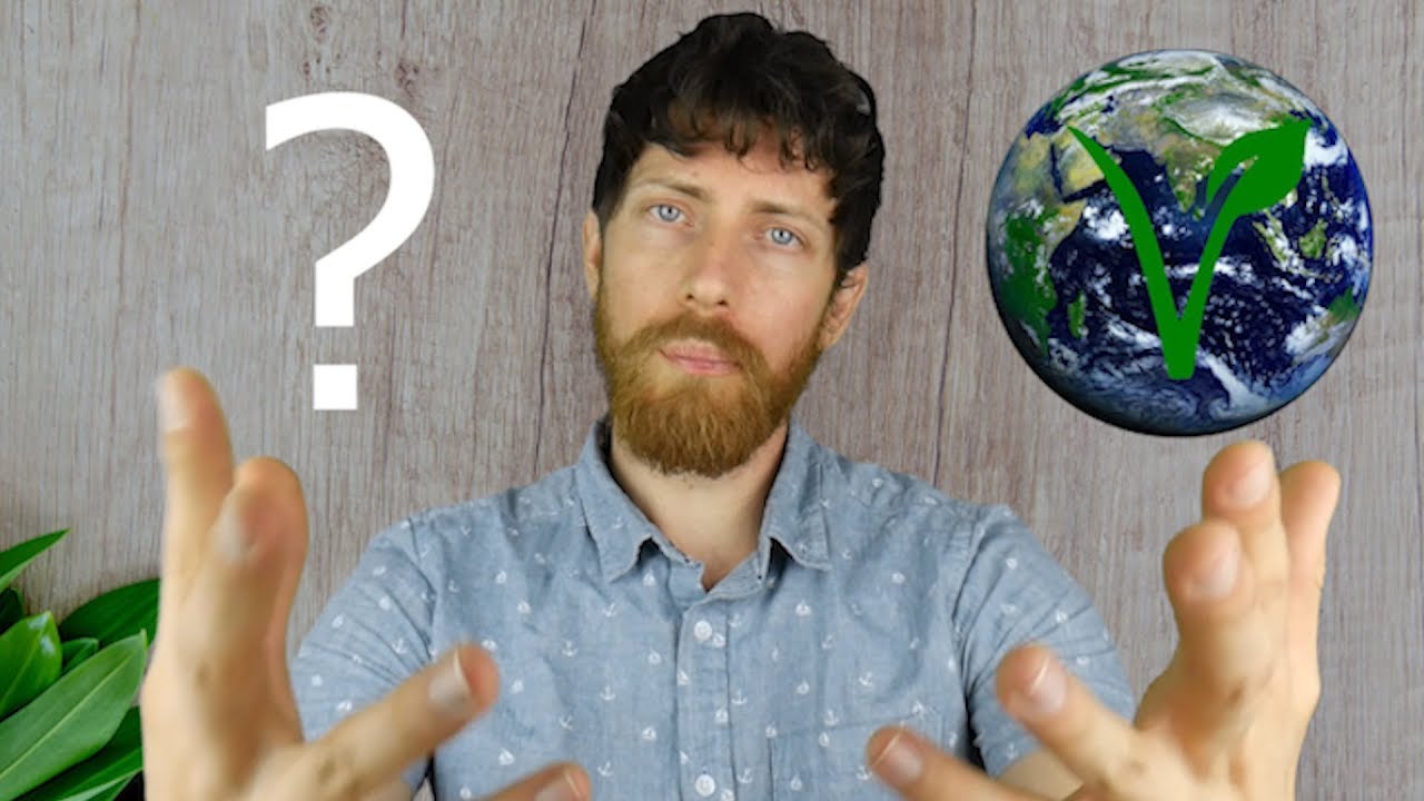 report-how-many-vegans-are-there-in-the-world-youtube