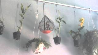 WP 20150503 002