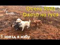 Осенняя охота на гуся 2020. Северные болота Архангельской области. Ремонт вездехода. 1 заезд.