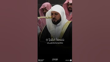 سورة عبس - ماهر المعيقلي