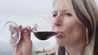 Saperavi Ir Viena No Slavenākajām Gruzijas Vīnogu Šķirnēm - Battle Of The Wine 2020