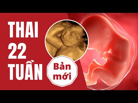 Video Thai 22 Tuần Phát Triển Như Thế Nào? - youtube