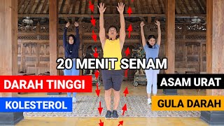 20 MINUTES OF EXERCISE FOR HIGH BLOOD PRESSURE - CHOLESTEROL - URIC ACID - SUGAR