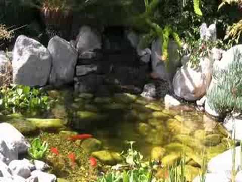 Backyard Goldfish Pond Youtube