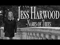 Nikon Z6 - Music Video - Jess Harwood   Names of Trees