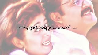 Ammummakkily Vayadi Karaoke With Malayalam Lyrics
