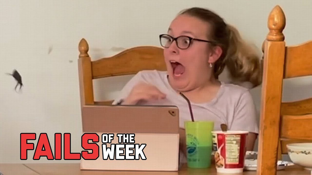 ⁣Don’t Freak Out! Fails of the Week | FailArmy
