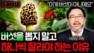 독버섯과 식용 버섯을 절대 구분하지 못하는 이유 (초고가 버섯..) | 과학정모 EP.46