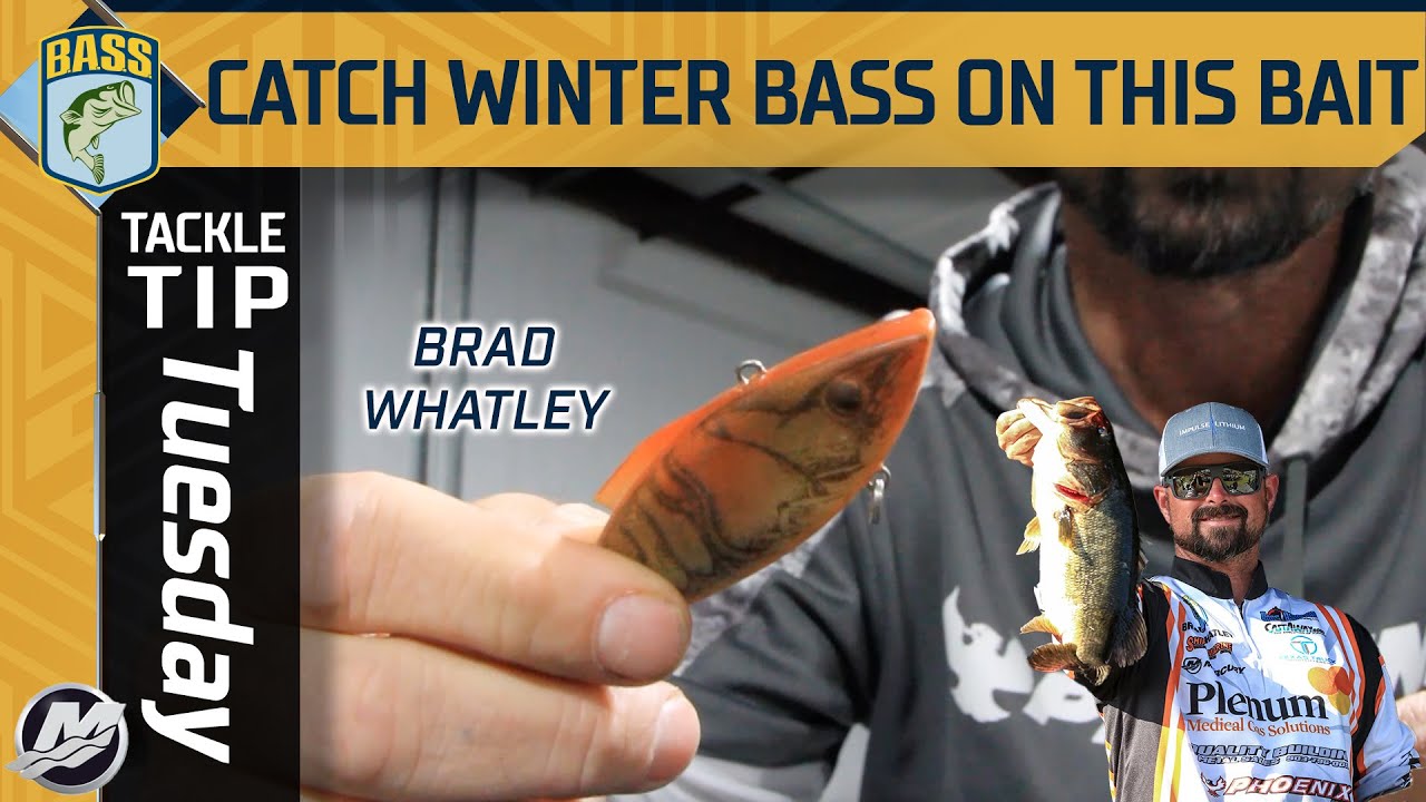 Watch Catch more winter bass by power fishing this bait Video on