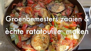 Ini's Moestuin #72 Groenbemesters zaaien en zomergroenten inmaken & hèt recept voor ratatouille