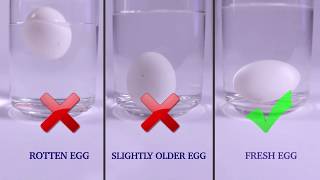 Testing Eggs for Good Quality (Test 1) | FSSAI Testing Eggs for Good Quality (Test 1) | FSSAI