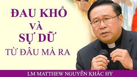 Đau Khổ Từ Đâu Mà Ra  Bài Giảng Về Đau Khổ Của Lm Matthew Nguyễn Khắc Hy