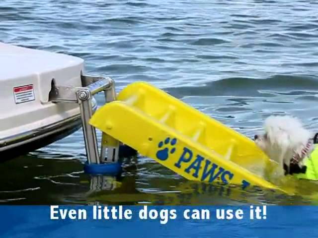 Paws Aboard Boat Fun Ladder Vests Youtube