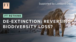 Could technology resurrect the woolly mammoth?  | FT Rethink