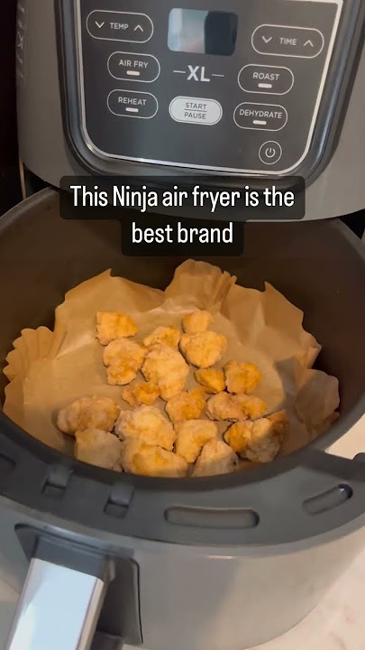 How to Use Your Ninja® Air Fryer Max XL (AF160 Series) 