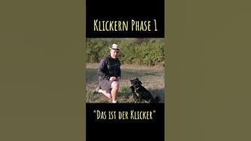 dogvideo clicker Nr. 1 #shorts #clickertraining