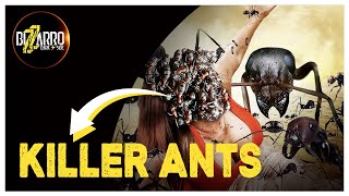 Killer Ants Hd Full Monster Horror Movie