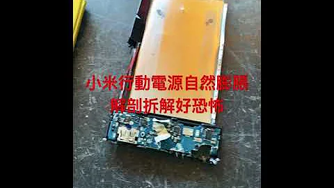 小米行动电源 10000毫安 自然膨胀 拆解 - 天天要闻